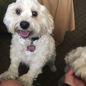 Meet your Posher, Mckenzie